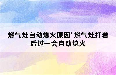 燃气灶自动熄火原因′ 燃气灶打着后过一会自动熄火